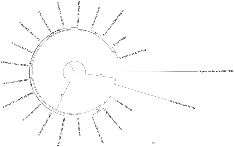 Fig. 6.