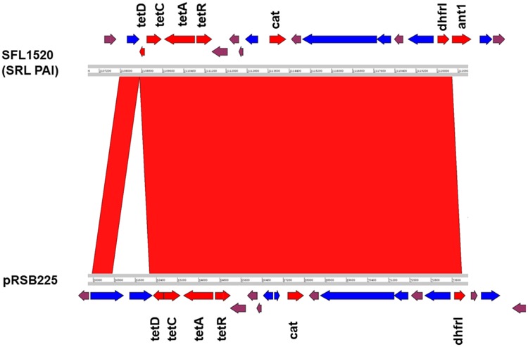 Fig. 5.