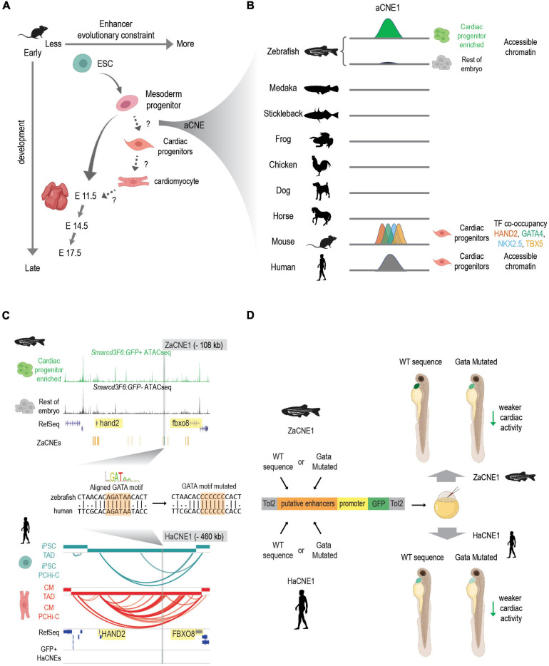 FIGURE 2