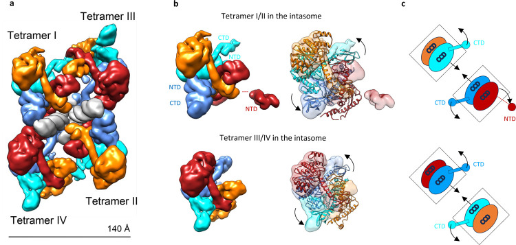 Figure 3.