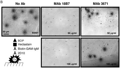 FIG. 8.