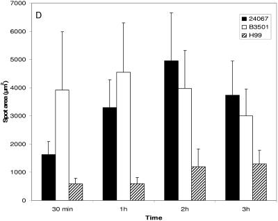 FIG. 7.