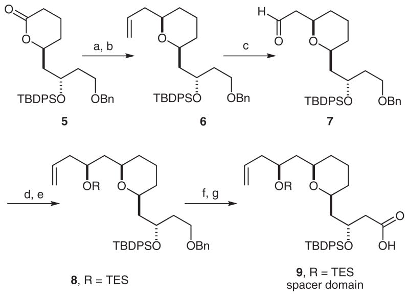 Scheme 2