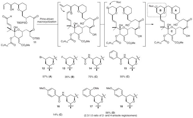 Scheme 4