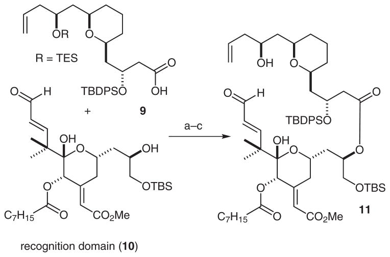 Scheme 3