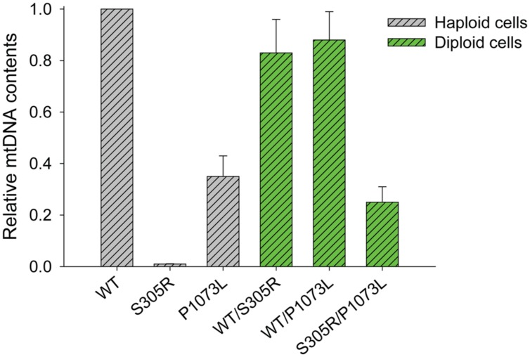 FIGURE 6