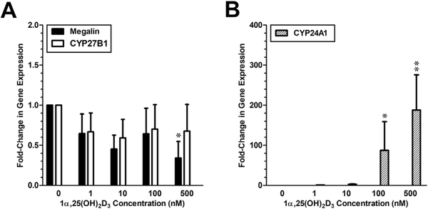 Fig. 8: