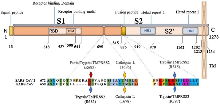 Fig. 15