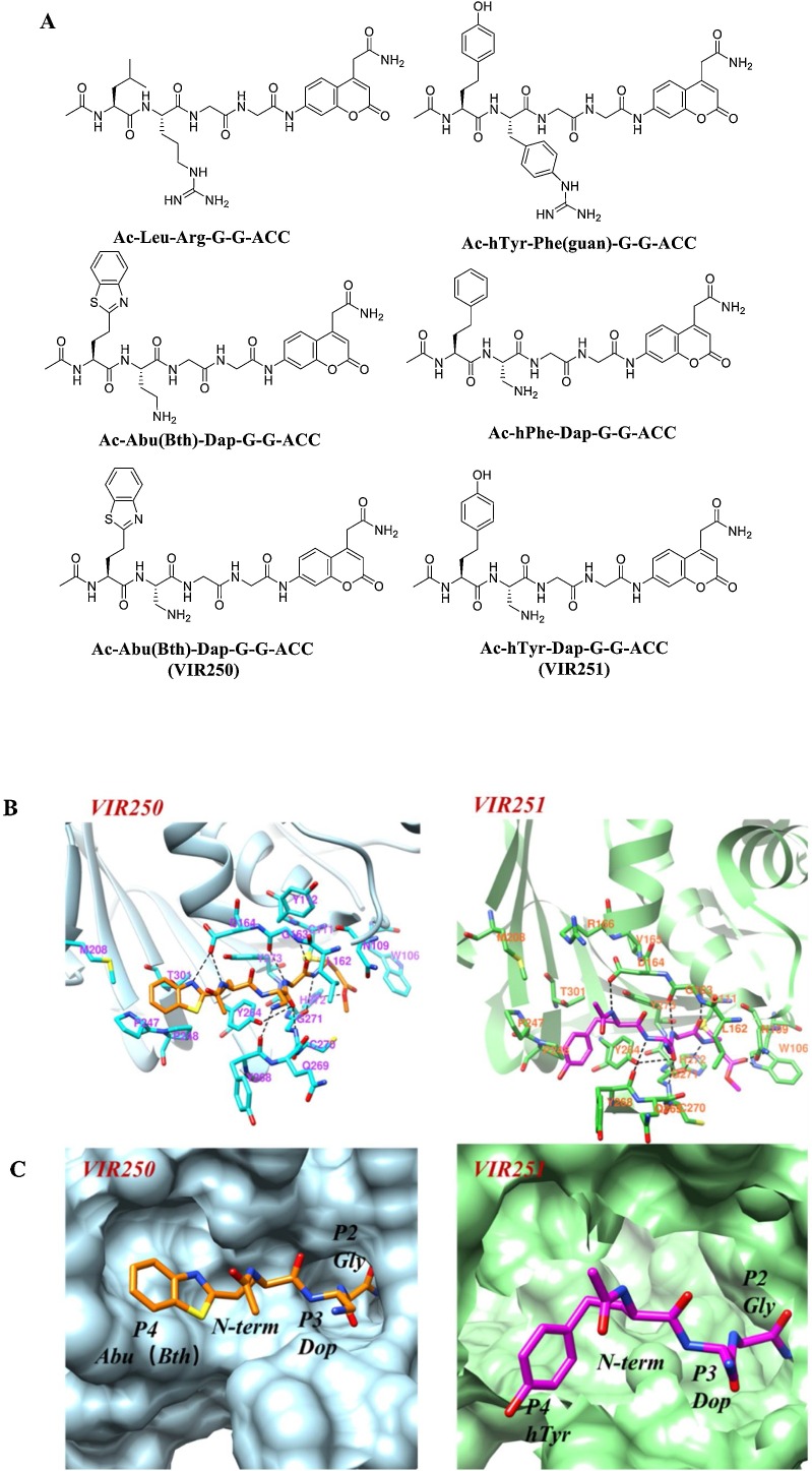 Fig. 12