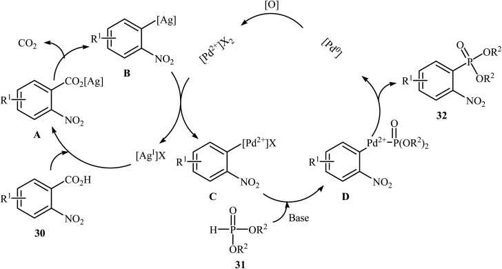 Scheme 18