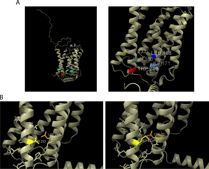 Fig. 6