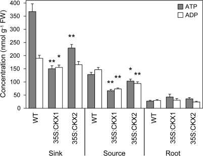 Fig. 7.