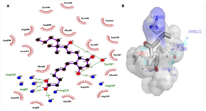 FIGURE 6