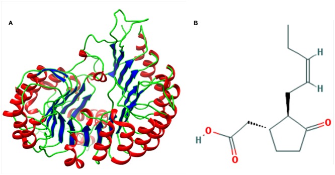 FIGURE 2