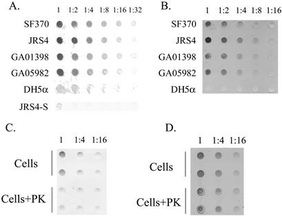 FIG. 2.