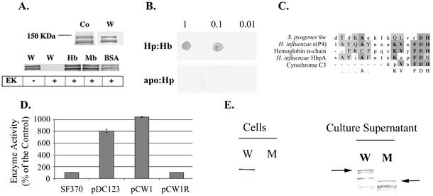 FIG. 5.