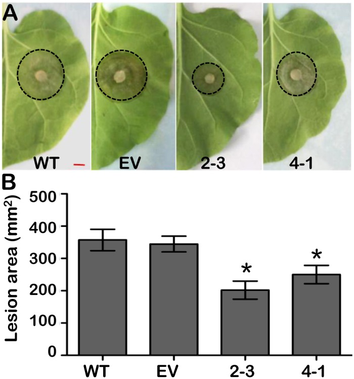 Fig 3