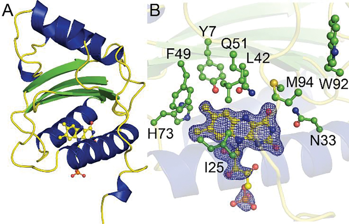 Figure 5.