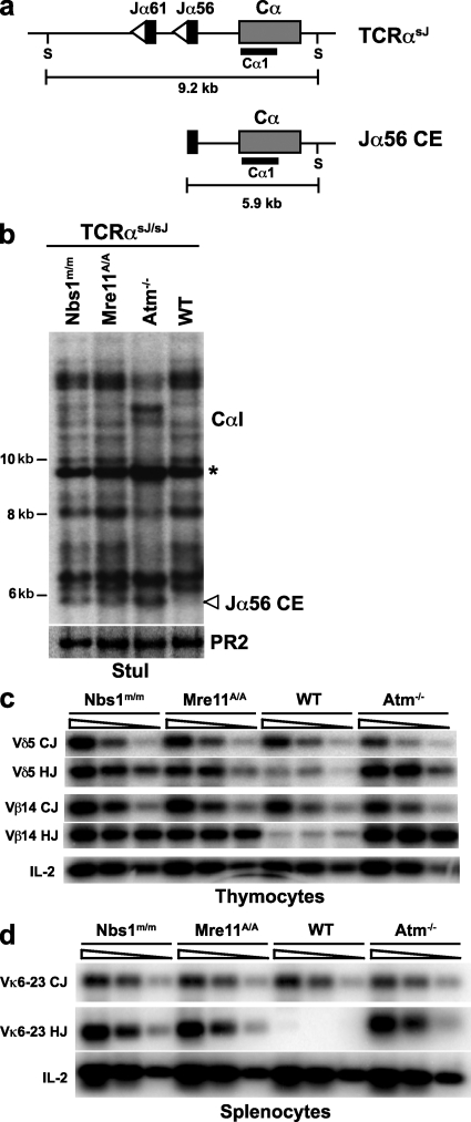 Figure 7.