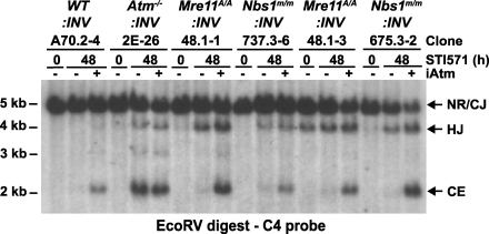 Figure 5.