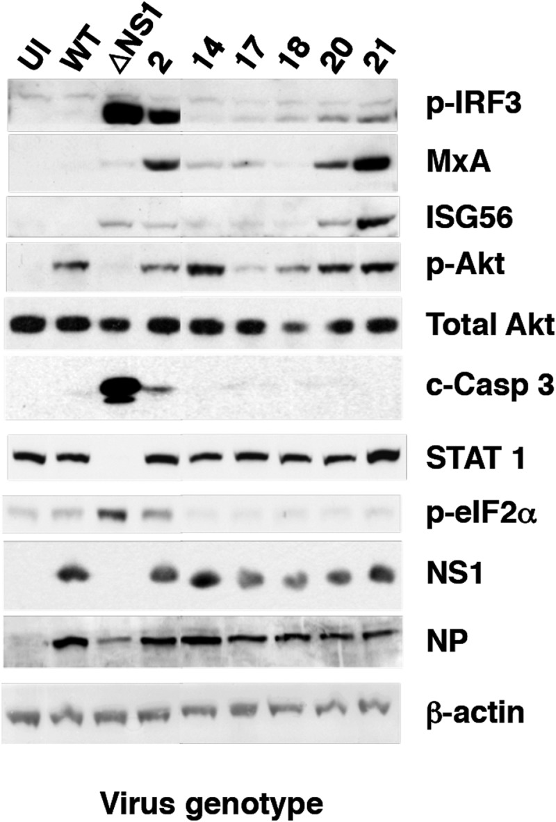 FIG 6