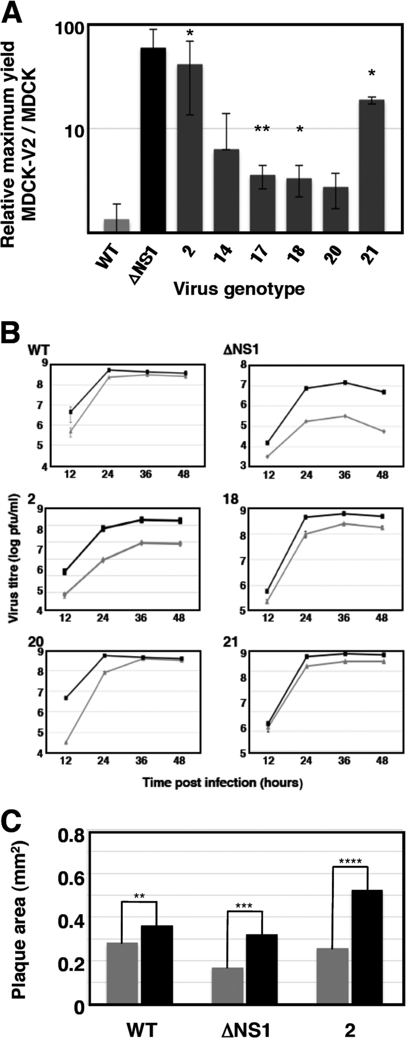 FIG 3