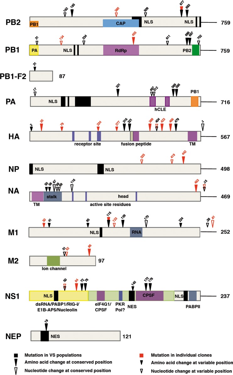 FIG 10