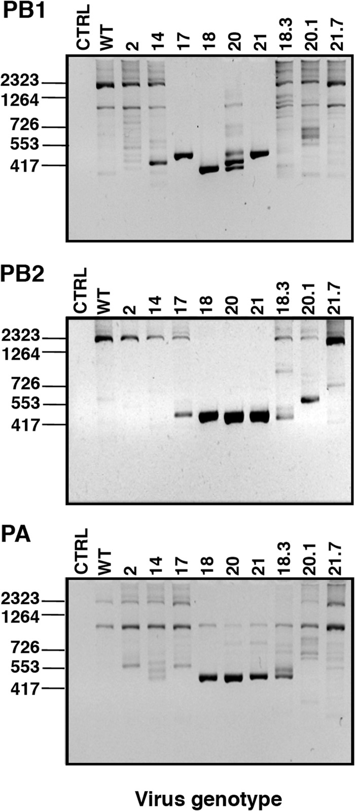 FIG 9