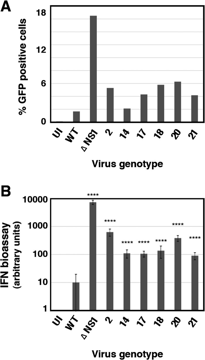 FIG 4