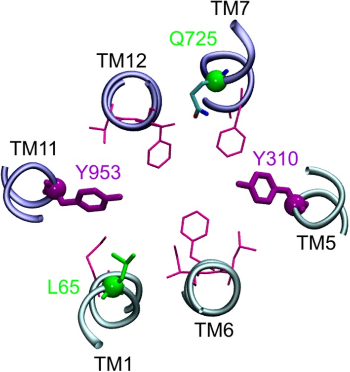 Figure 4