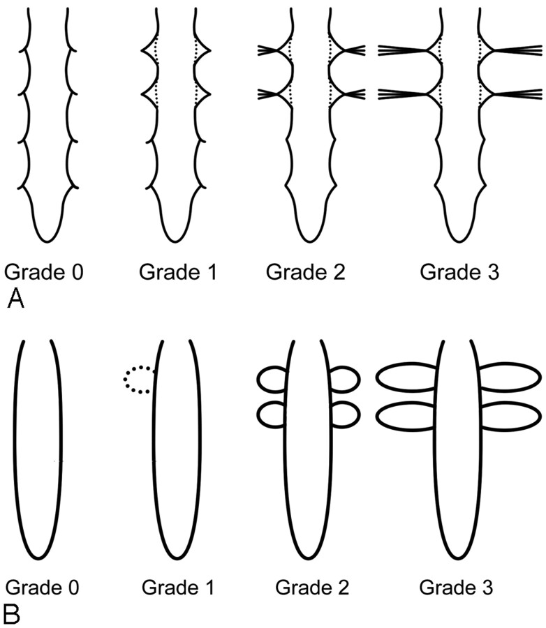 Fig 1.