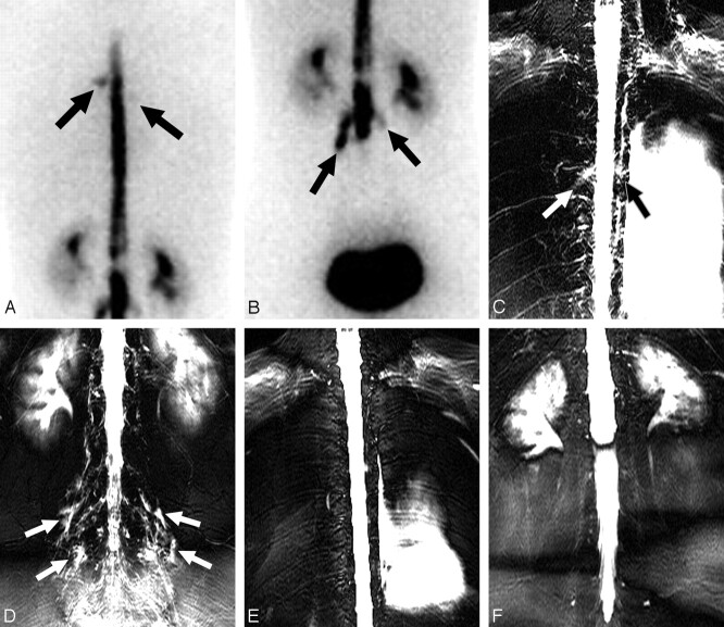 Fig 3.