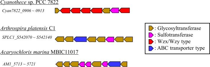 Figure 4—figure supplement 1.