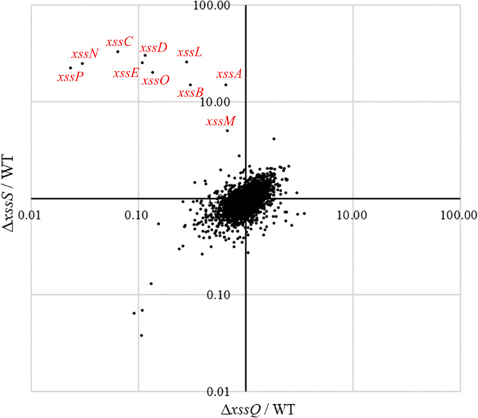 Figure 3—figure supplement 1.