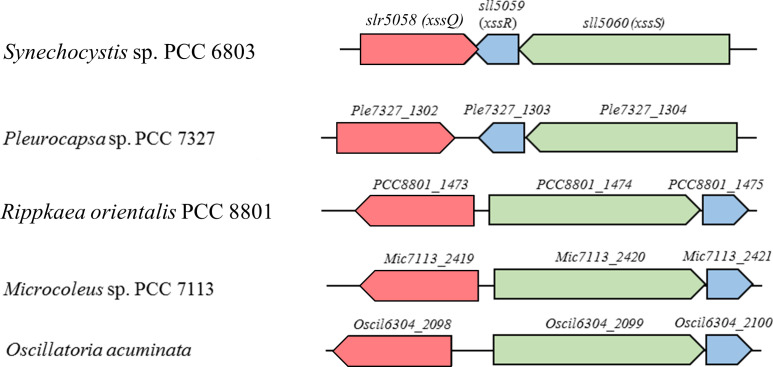 Figure 4—figure supplement 2.