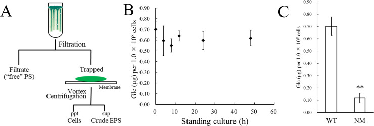 Figure 1—figure supplement 1.