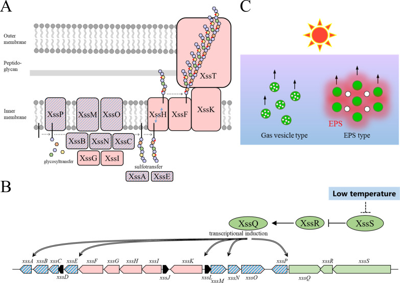 Figure 4.