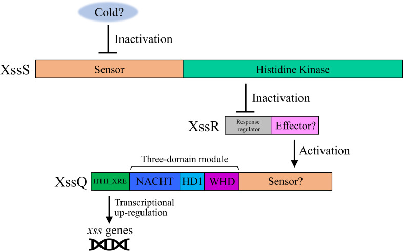 Figure 2—figure supplement 2.