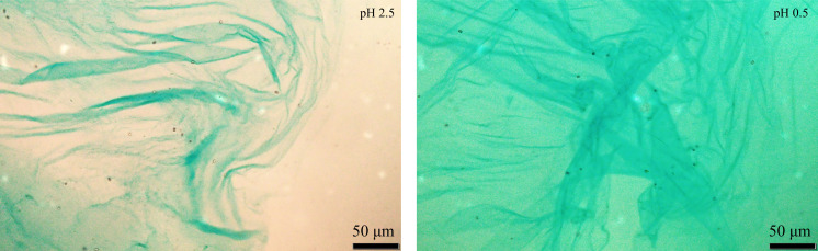 Figure 1—figure supplement 3.