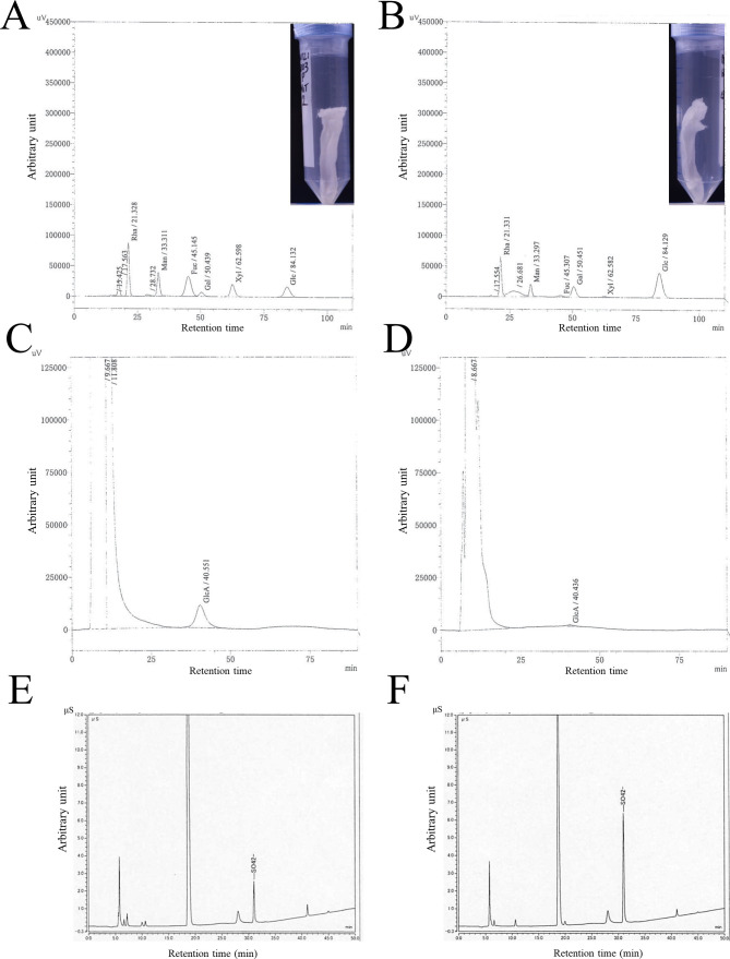 Figure 3—figure supplement 2.