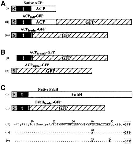 graphic file with name cdd176f1.jpg