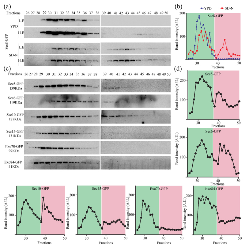 Fig. 4