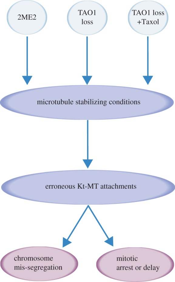 Figure 7.