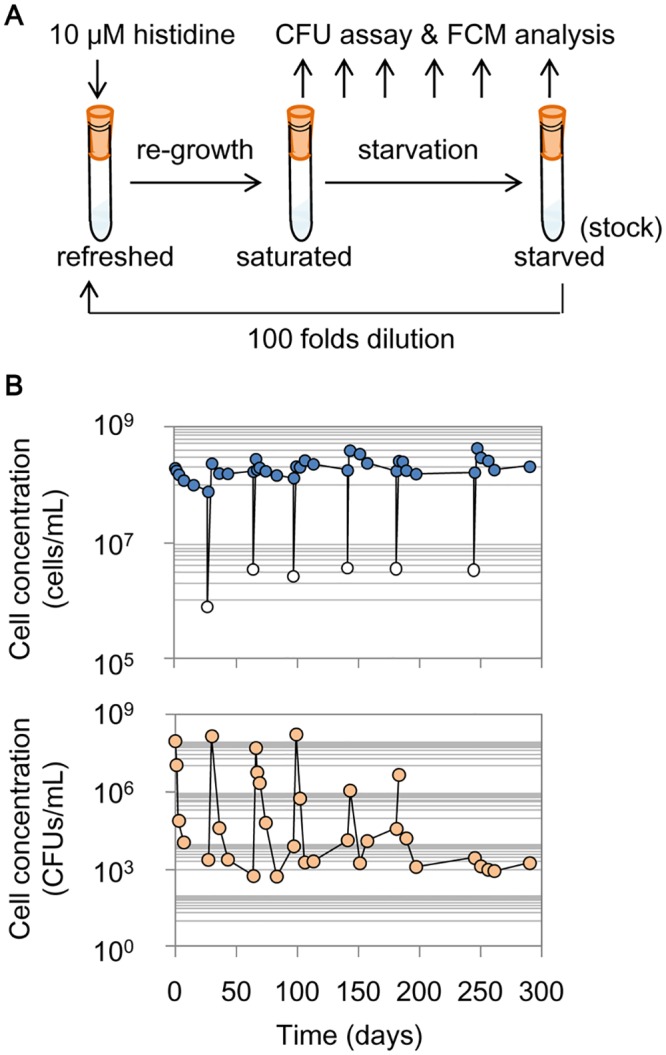 Fig 1