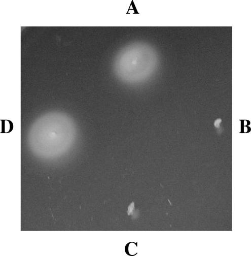 FIG. 4.