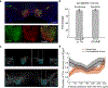 Extended Data Figure 10.