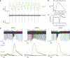 Extended Data Figure 2.