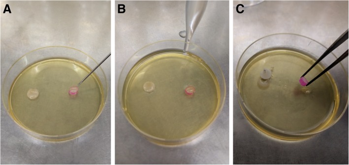 Fig. 1