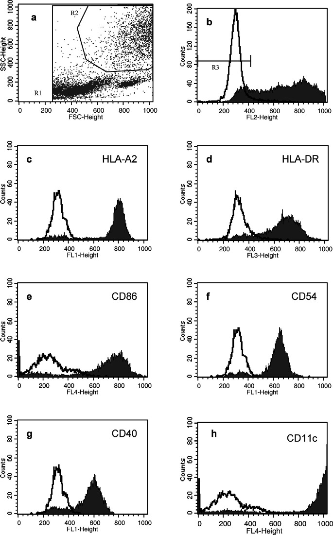 Fig. 1a–h