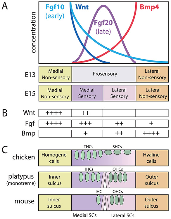 Figure 3.